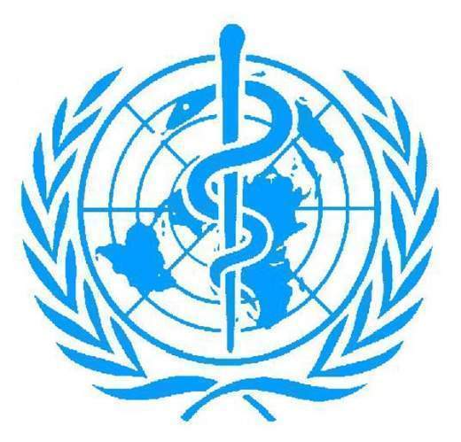 4 organizacion mundial de la salud oms