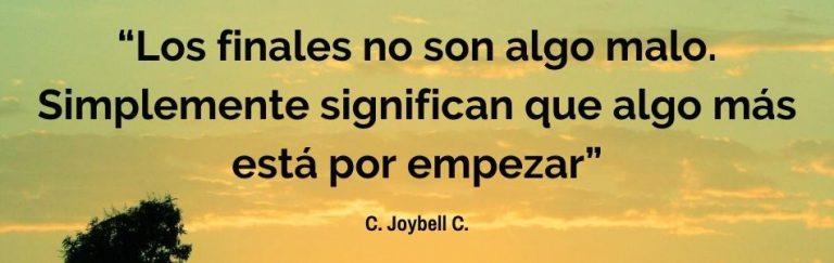 reflexiones finales